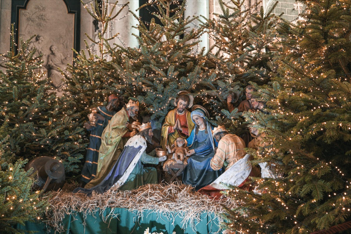 Nativity scene surrounded by Christmas trees and lights